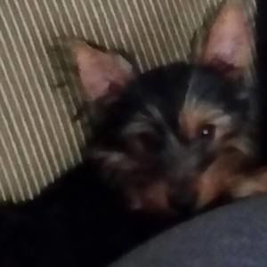 Meet your Posher, Anna